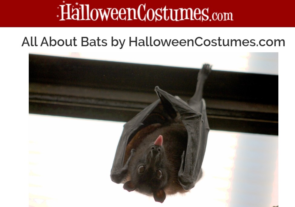 halloween costumes