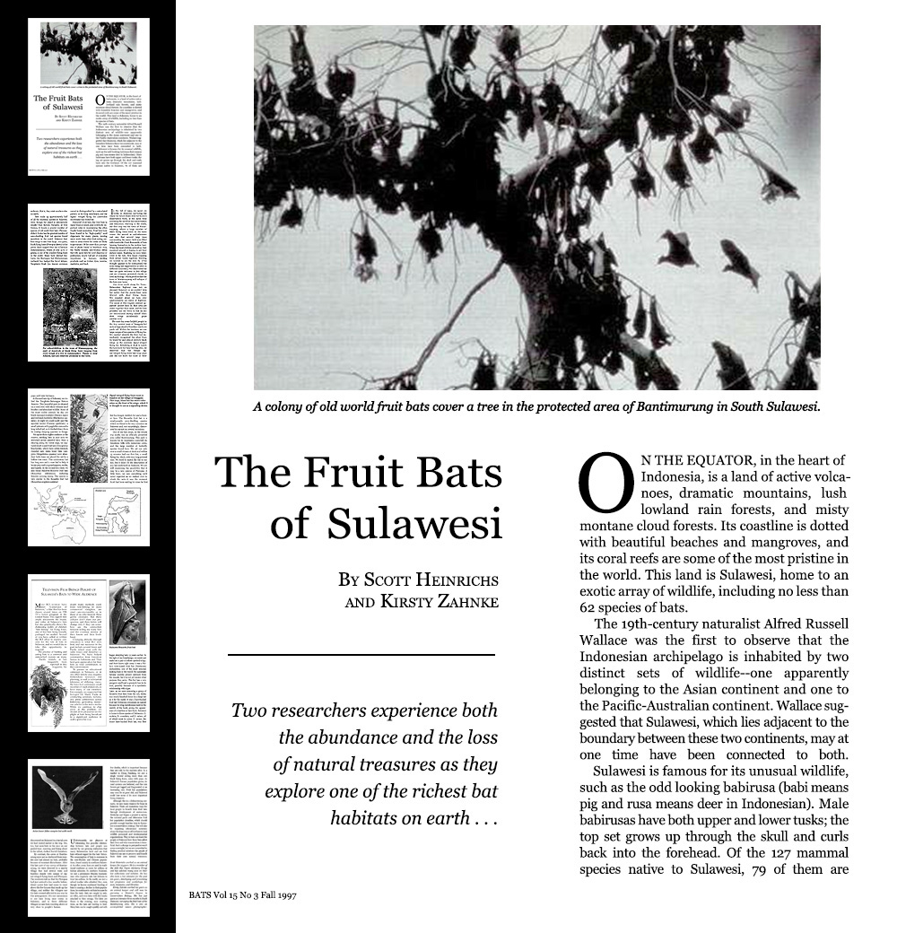 bats97pg1