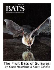 bats fall97