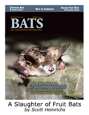 BATS 2010