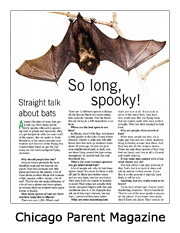 chicago parent mag
